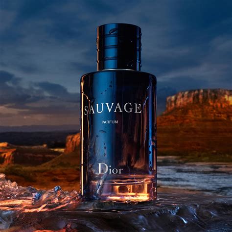 sauvage dior eau de parfum prix|dior sauvage eau de parfum 100ml best price.